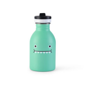 NOODOLL RICEDINO GREEN WATER BOTTLE